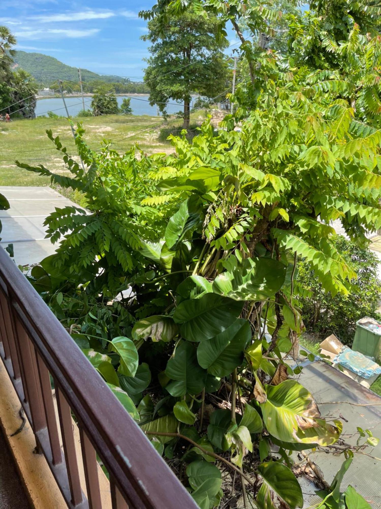 Dikachaya Ostello Chaweng (Koh Samui)